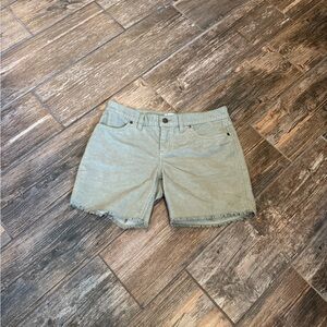Carve Designs Olive Green Shorts